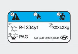 Example of Hyundai Accent A/C refrigerant label with symbols and specifications